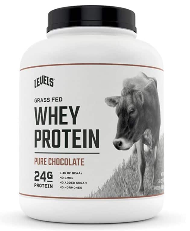 Best protein powder for pregnant woman