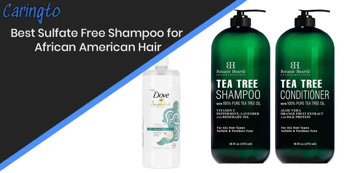 Best Sulfate Free Shampoo for African American Hair 