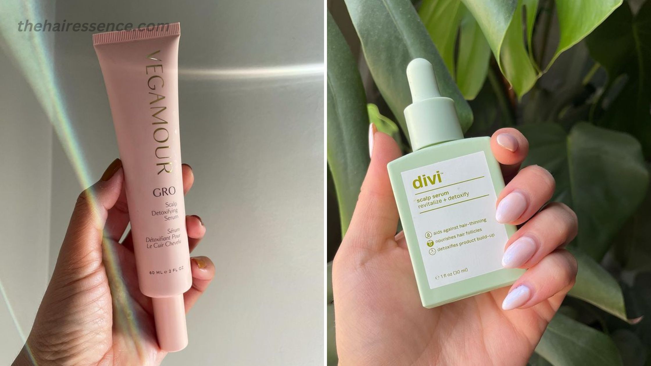 Vegamour vs Divi